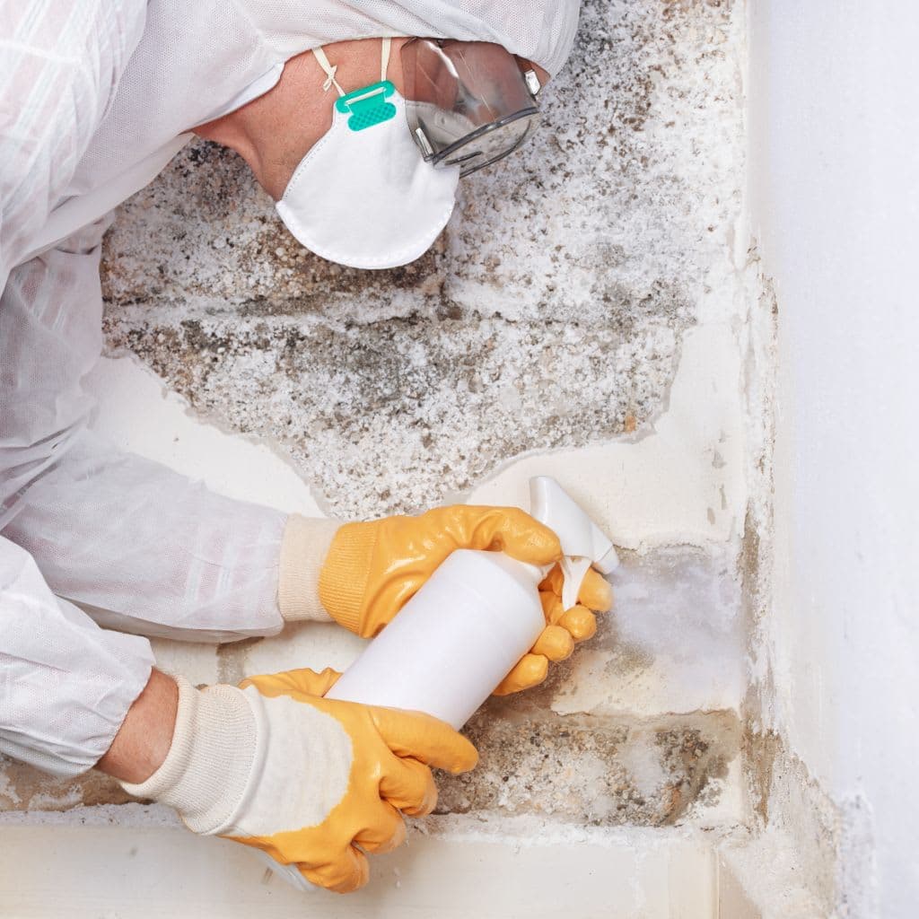 Traitement des capricornes