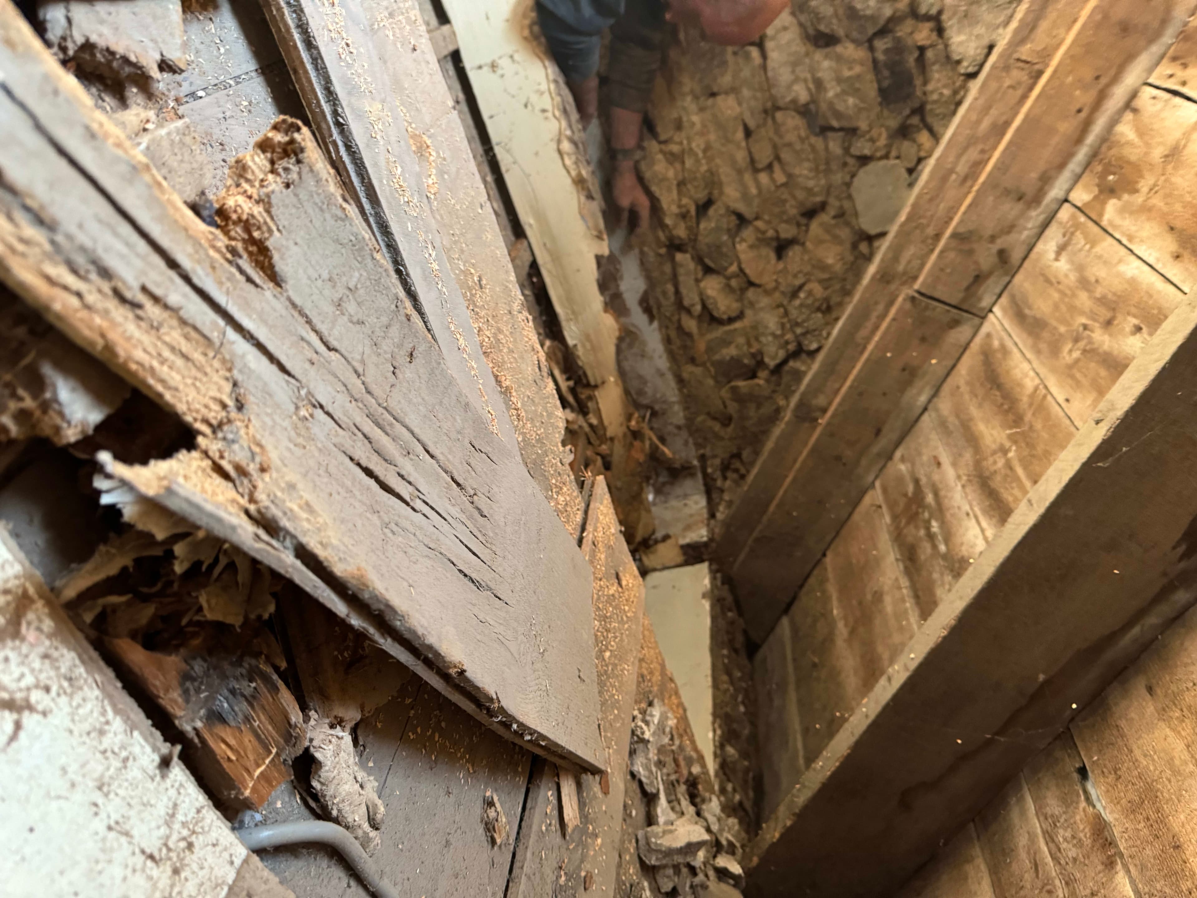 Plancher infesté de vrillette